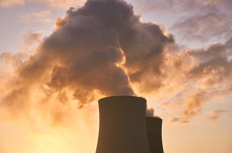 站群程序市场分析:行业新风向